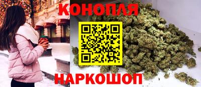 дмт Будённовск