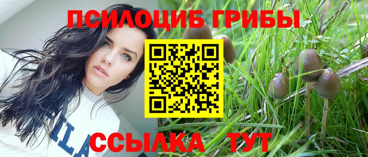Черкесск  Псилоцибиновые грибы мицелий  Вход с VPN 